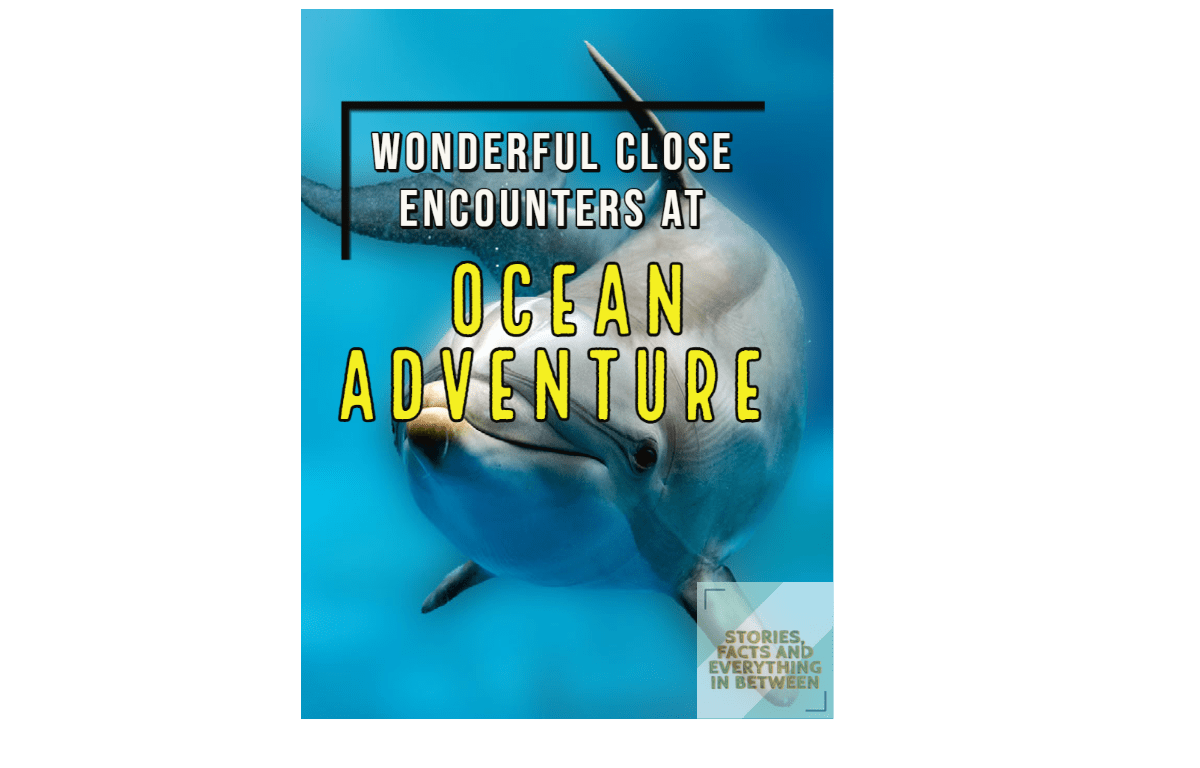 Wonderful Close Encounters at Ocean Adventure Subic Bay