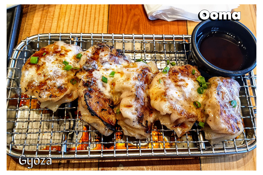 Gyoza by Ooma